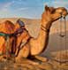 Bikaner Tour Packages